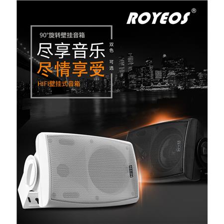 RY-803定压/定阻