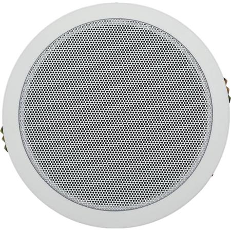 RY-106定压扬声器音响
